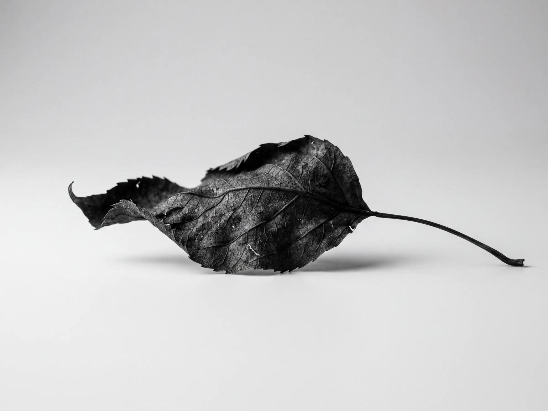 Research synthesis output