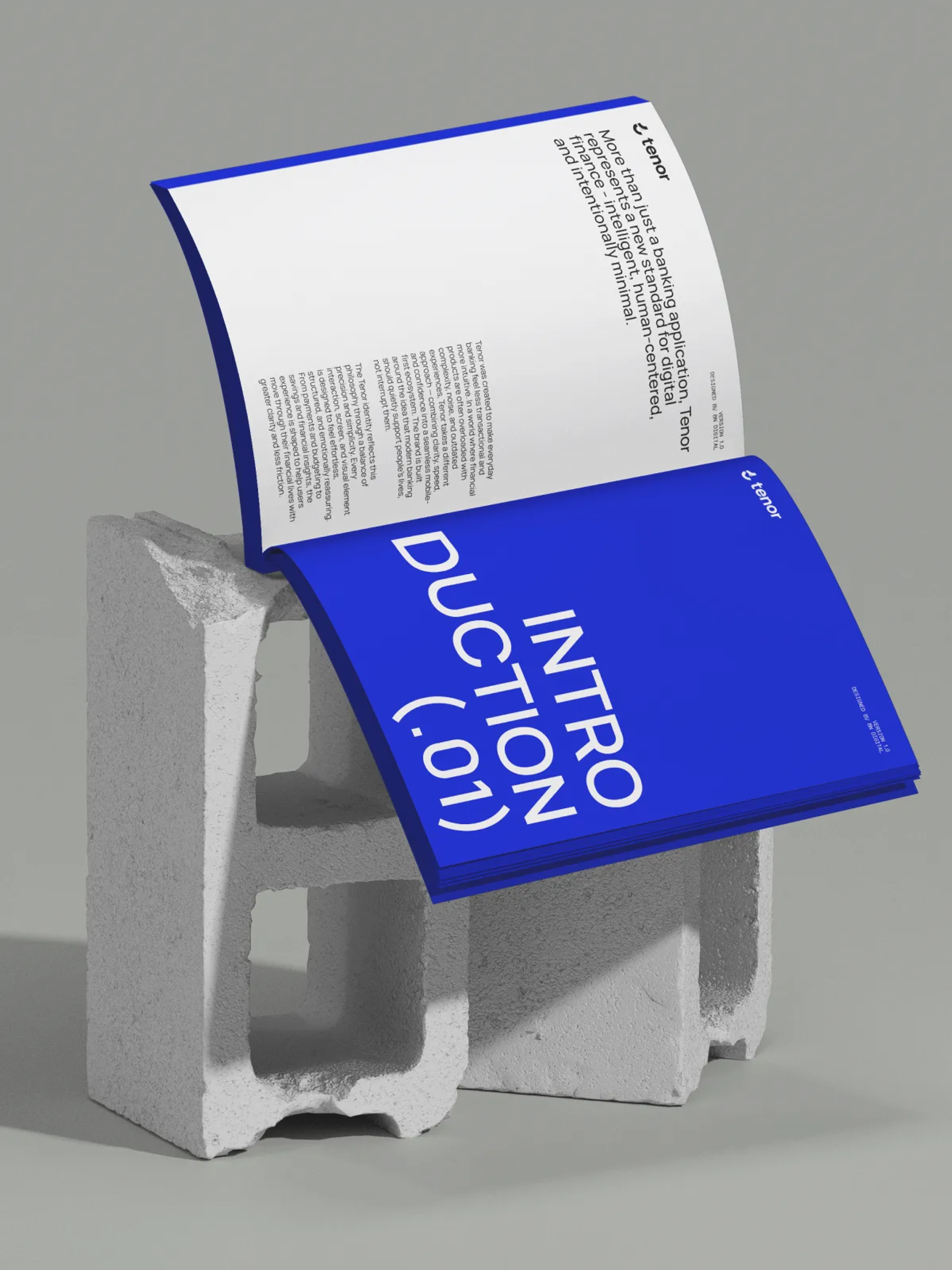 60-page brand guidelines document with worked examples