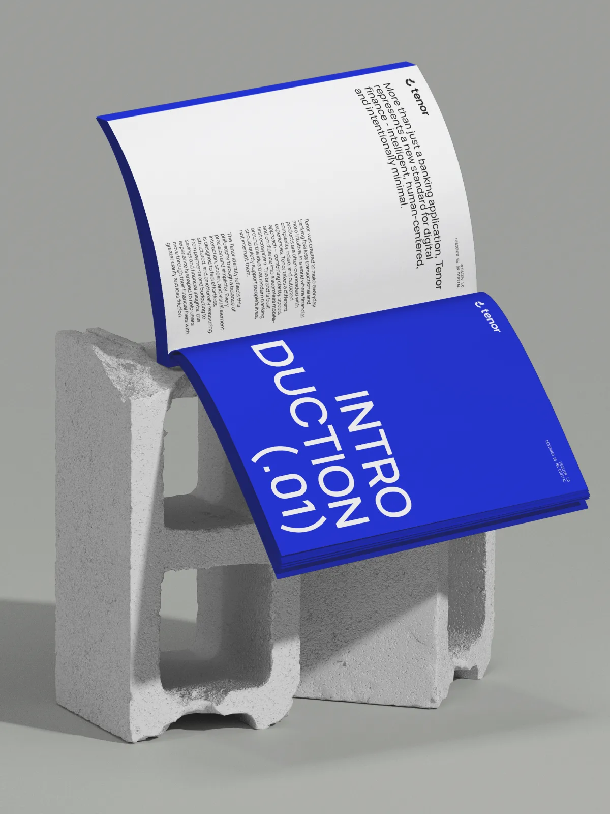 60-page brand guidelines document with worked examples