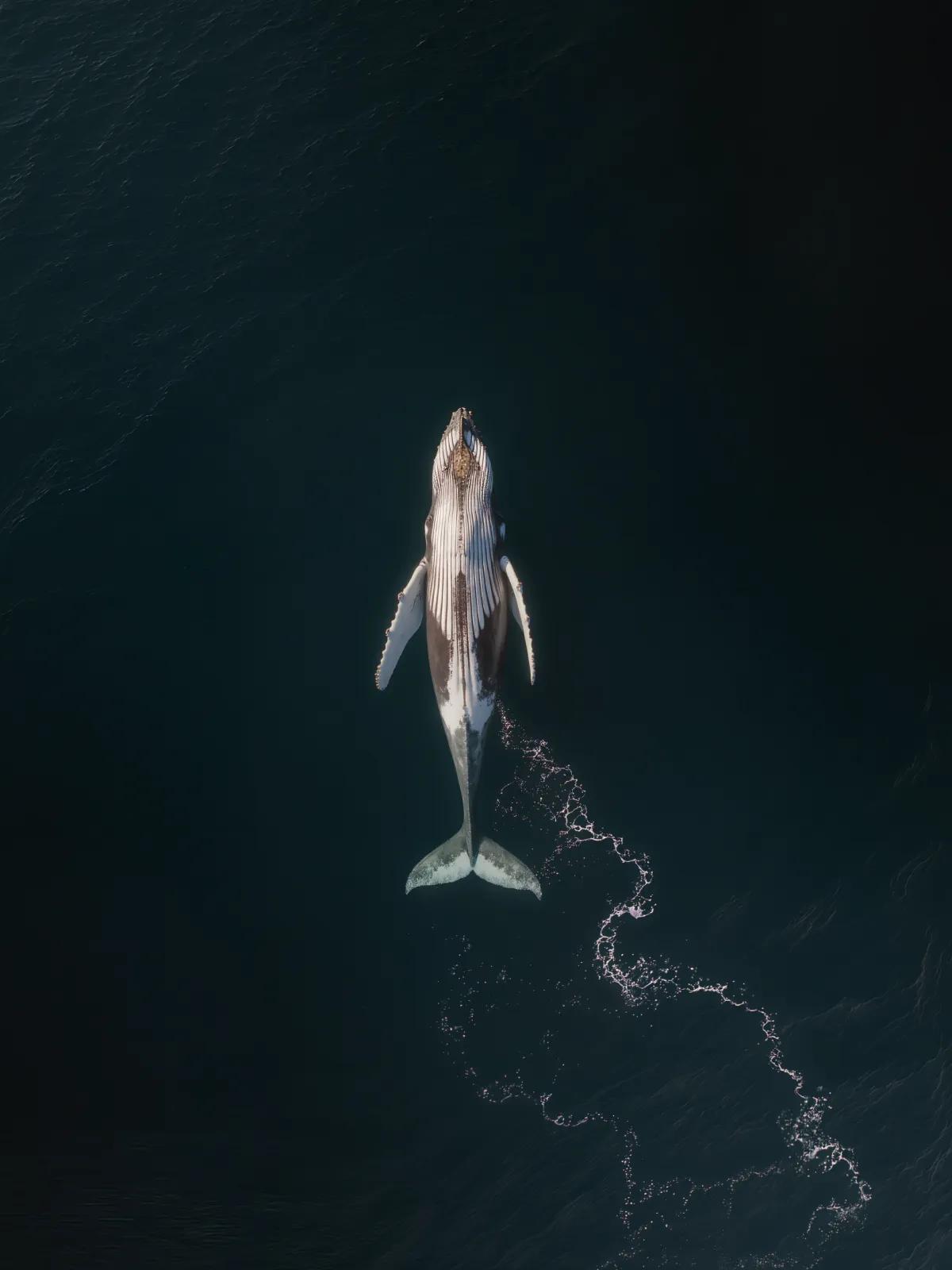 How to manage custom software design for B2E: A Successful Product VP's Cheat Sheet. Part 2